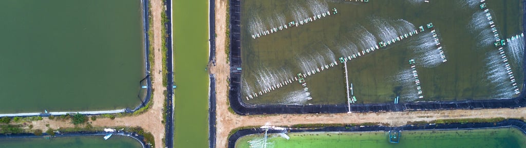 Fish farming