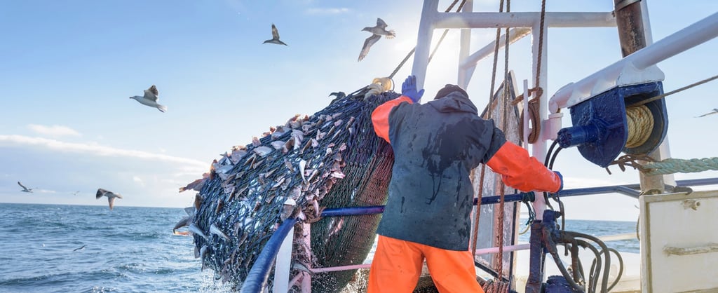 Pescador puxando rede com peixes a bordo de embarcação pesqueira em alto-mar