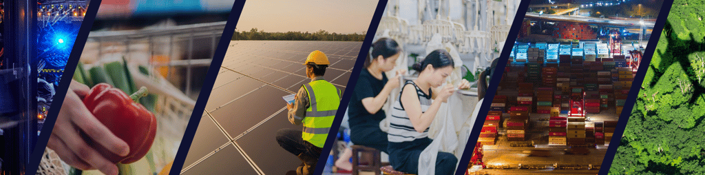 Collage de tecnología, agricultura, energía solar, textiles, transporte marítimo y bosques - imagen recortada