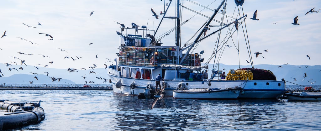 Fishing vessel moored on calm coastal waters beside aquaculture pens, with crew working on deck and numerous seabirds circling overhead against a hazy blue sky.