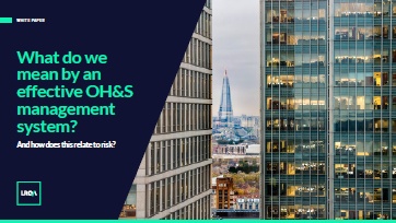 OHSMS whitepaper