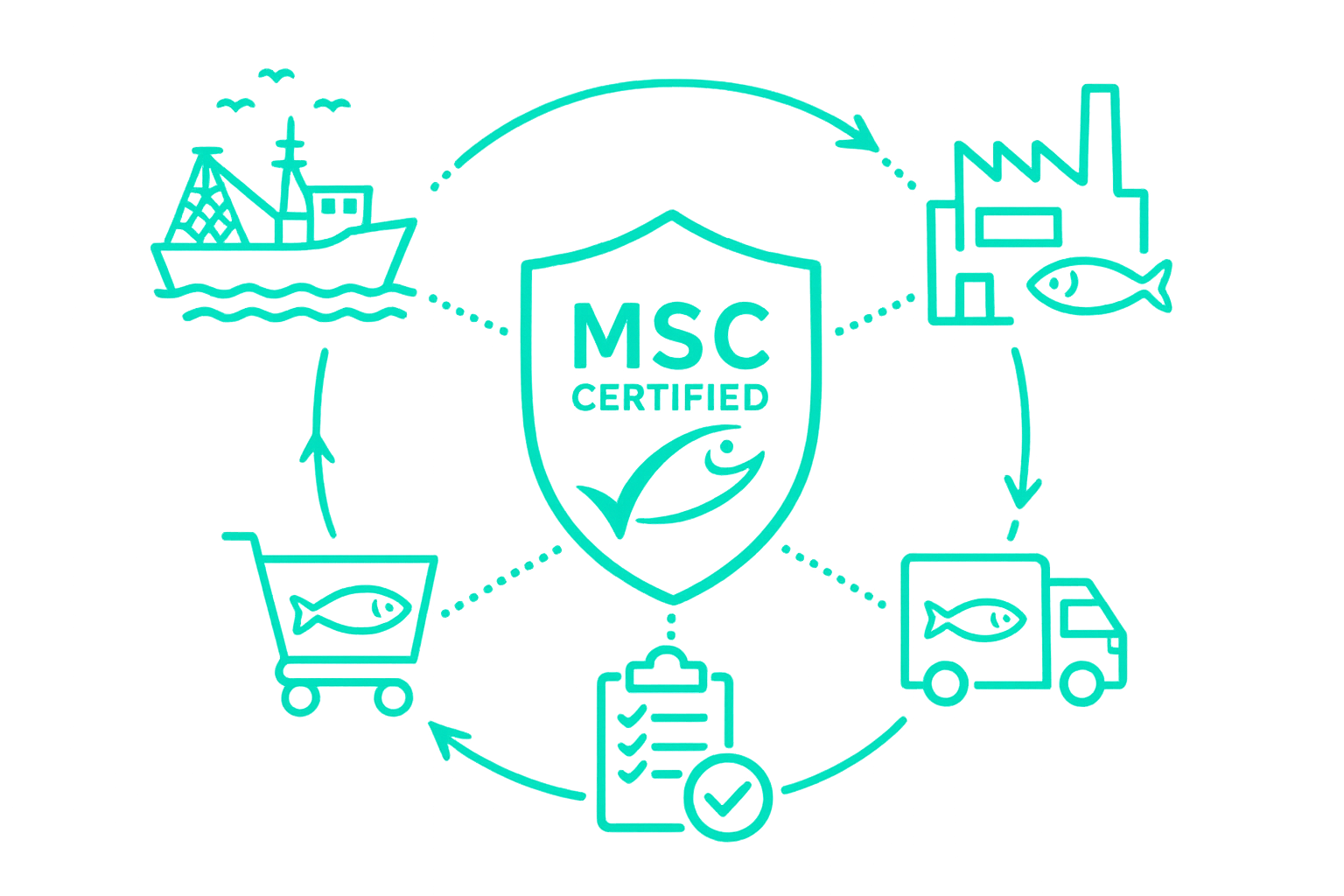 MSC-certified seafood supply chain illustration with connected traceability icons.